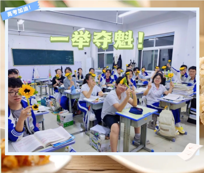 端午佳节日，金榜题名时丨一举高“粽”
