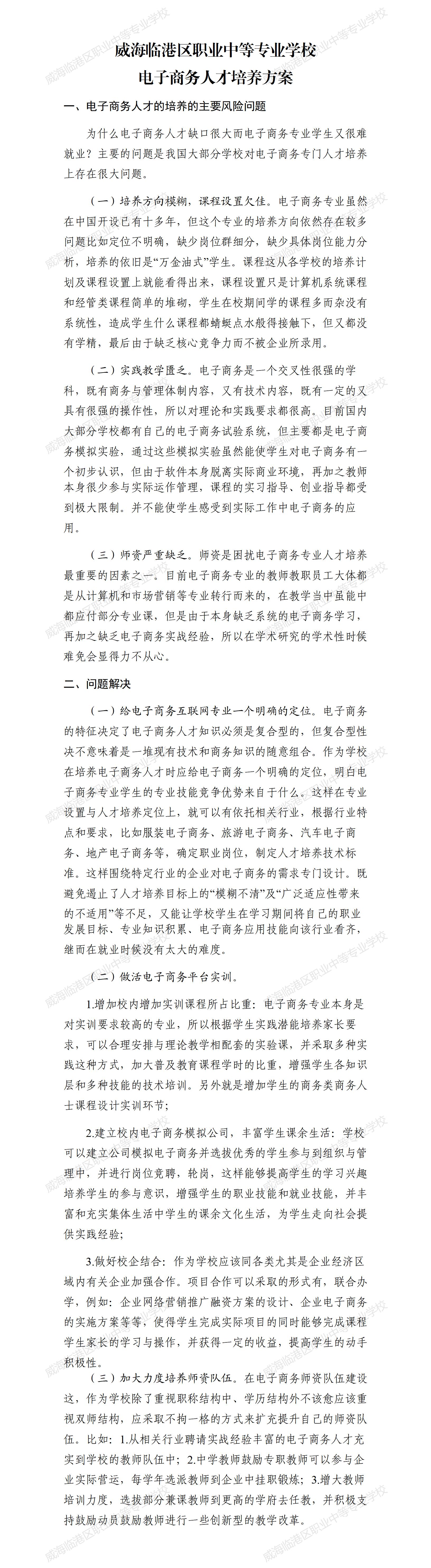 2023年电子商务专业人才培养方案