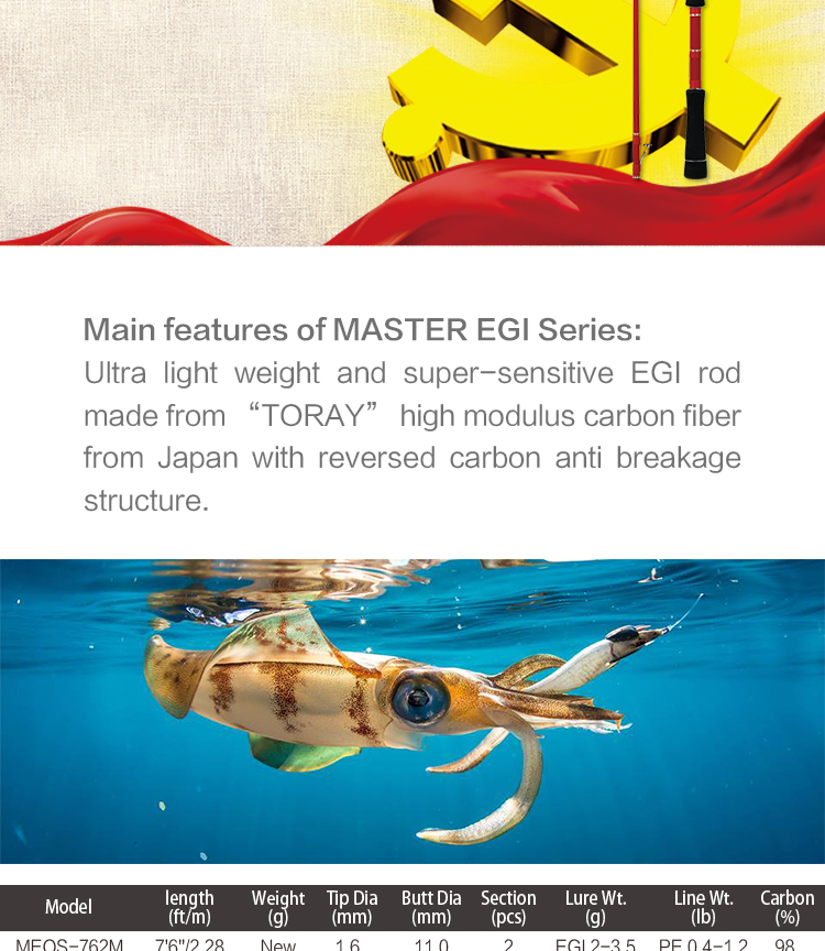EGI详情_02.jpg