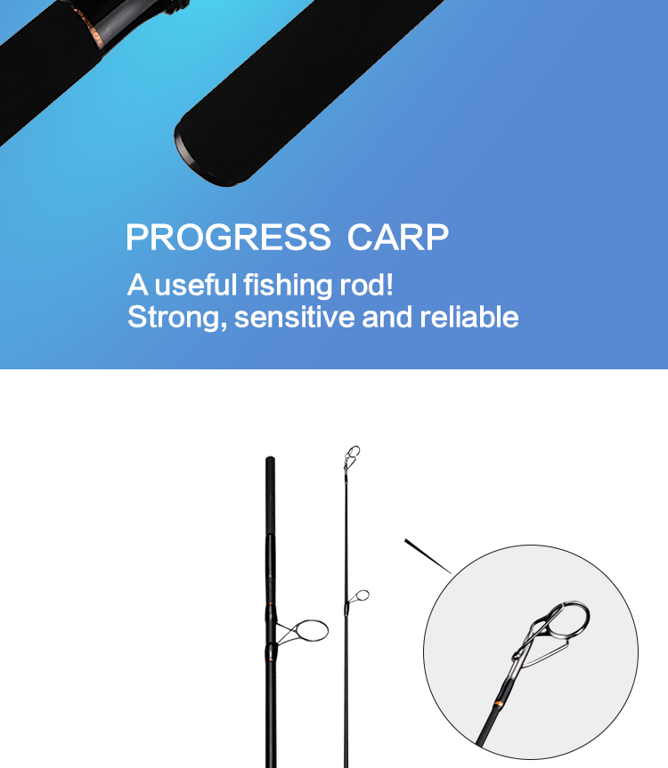 Progress-carp_02.jpg