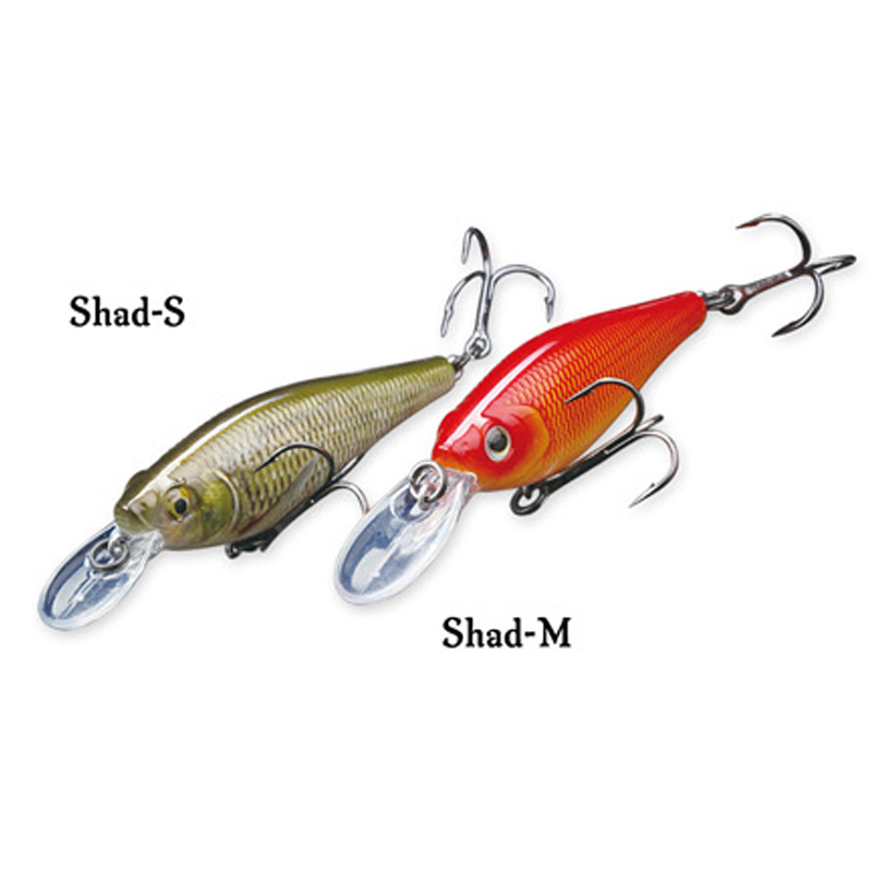 Shad